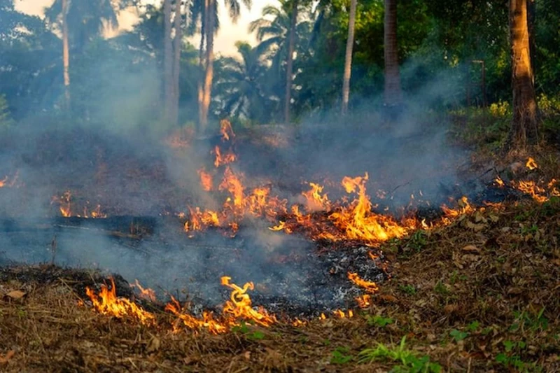 Zmiany klimatyczne mogą doprowadzić do wyginięcia ludzkości